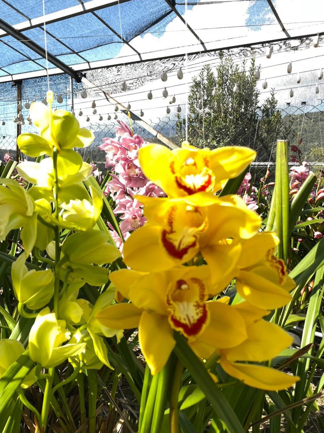 Apartament Nantou Fruit House Ren’ai Zewnętrze zdjęcie