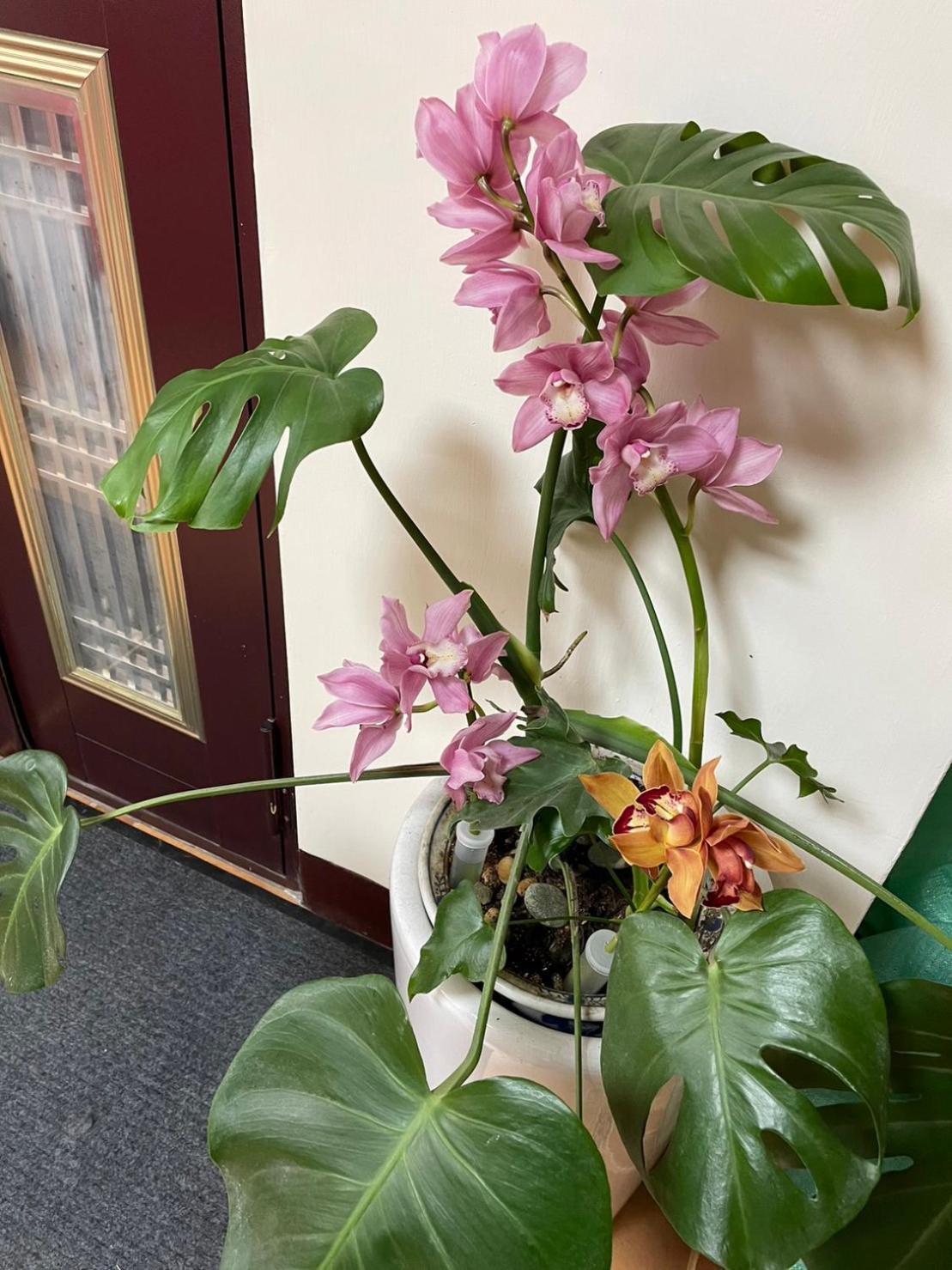 Apartament Nantou Fruit House Ren’ai Zewnętrze zdjęcie