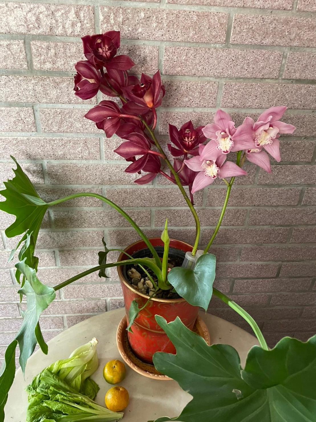 Apartament Nantou Fruit House Ren’ai Zewnętrze zdjęcie