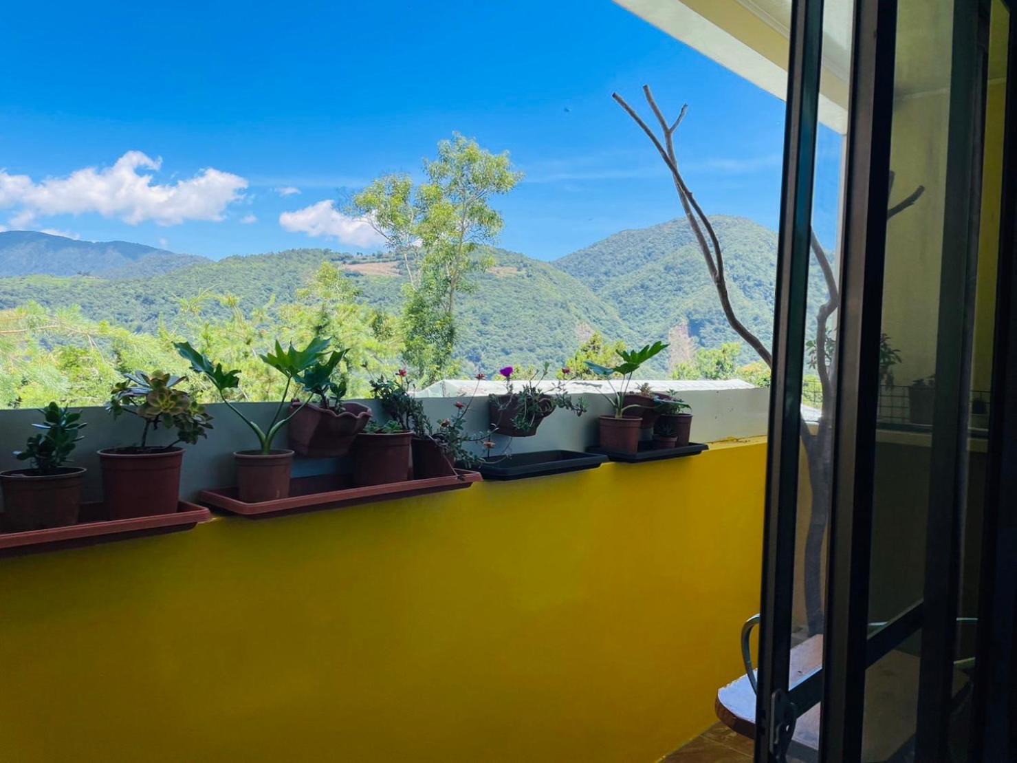 Apartament Nantou Fruit House Ren’ai Zewnętrze zdjęcie